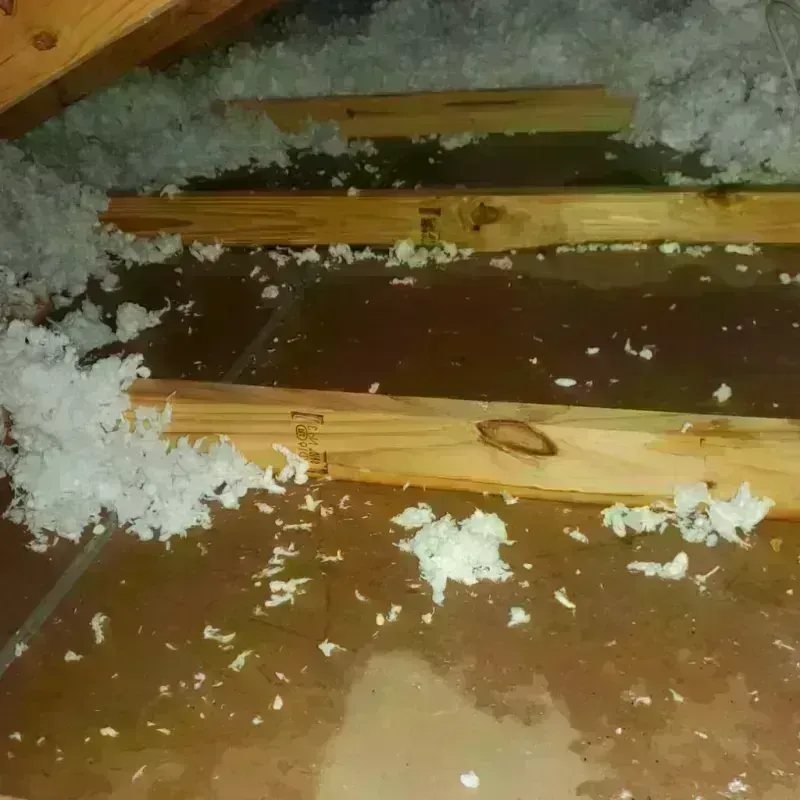 Attic Water Damage in Richmond, KY