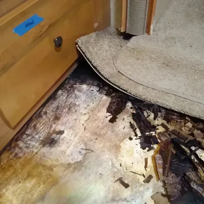 Wood Floor Water Damage in Richmond, KY